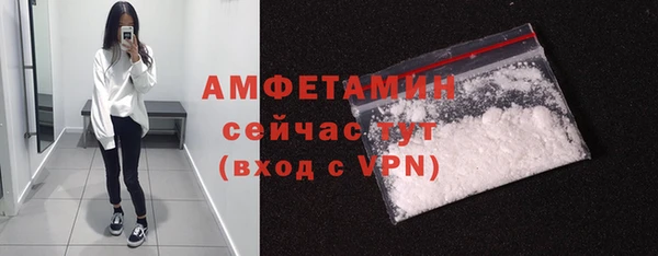 ПСИЛОЦИБИНОВЫЕ ГРИБЫ Богданович