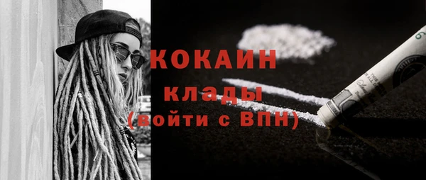 ПСИЛОЦИБИНОВЫЕ ГРИБЫ Богданович