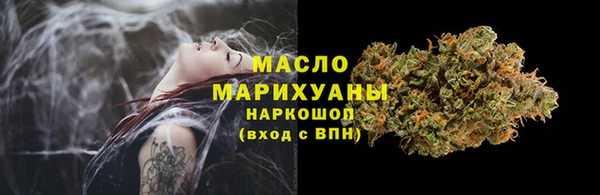 mdpv Богородицк