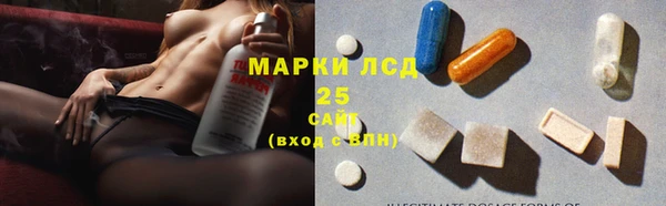 mdpv Богородицк