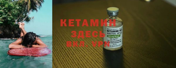 ПСИЛОЦИБИНОВЫЕ ГРИБЫ Богданович