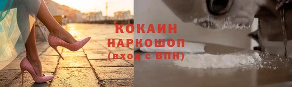 ПСИЛОЦИБИНОВЫЕ ГРИБЫ Богданович