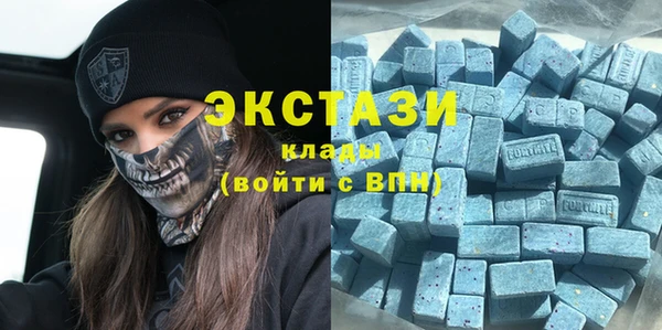 шишки Гвардейск